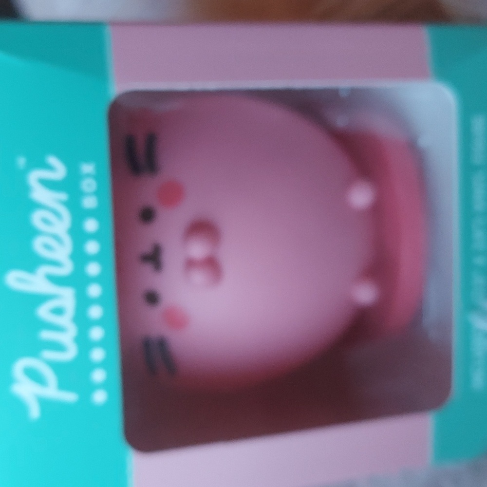 Pusheen vinyl toy